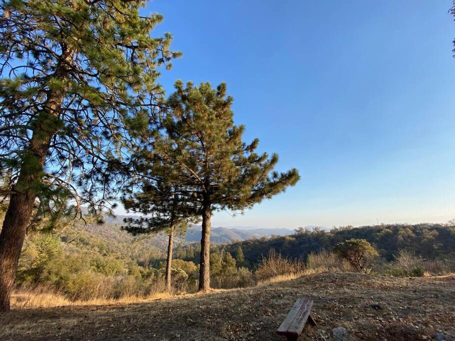 Modern Airstream With Amazing View - 10 To 15 Minutes From Kings Canyon National Park Dunlap 외부 사진